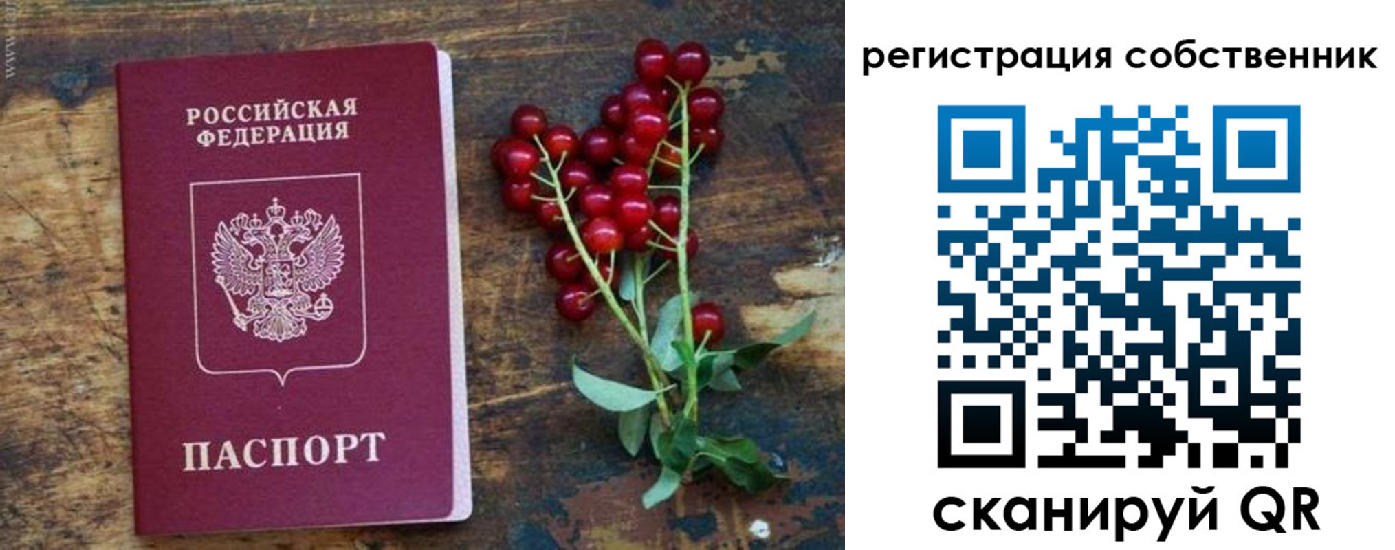 регистрация для дет. сада в Заинске